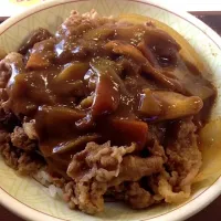 カレー南蛮|からあげさん