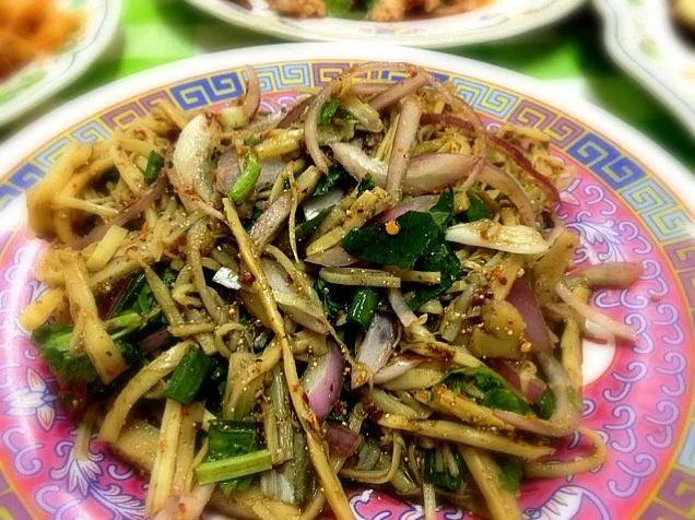 Thai North East Styled Hot & Spicy Bamboo Shoot Salad ซุปหน่อไม้|Pat Zaaさん