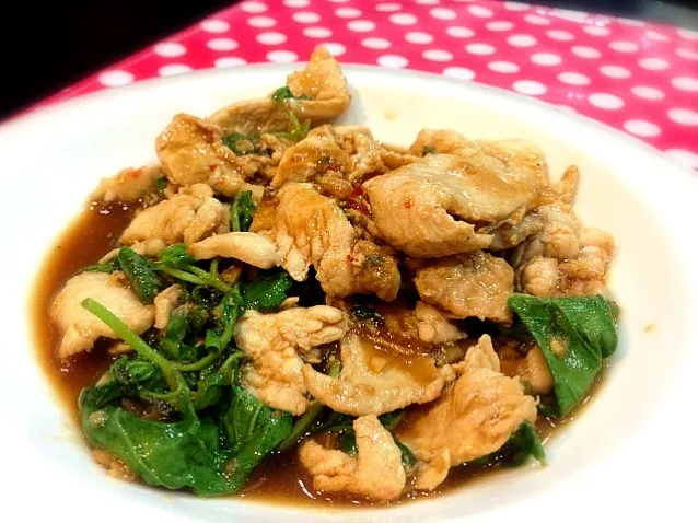 Pad Krapao Gai (Stir Fried Spicy Chicken with Basil)|Pat Zaaさん