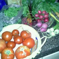 Snapdishの料理写真:Todays haul from the farmers market.|teresa murphyさん