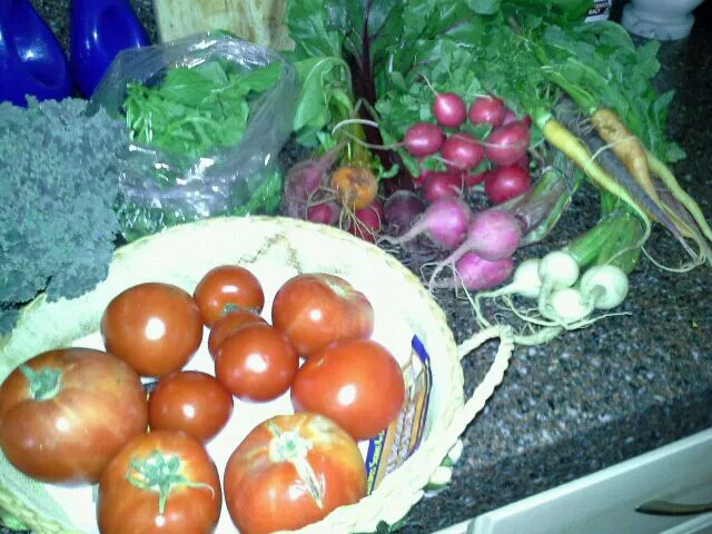 Todays haul from the farmers market.|teresa murphyさん