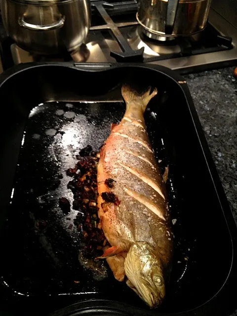 Salvenius Alpinus/Charr directly from the oven.|wallさん