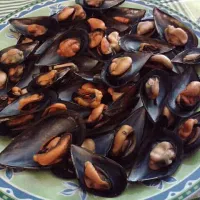 Mejillones|Maria Jose Floresさん