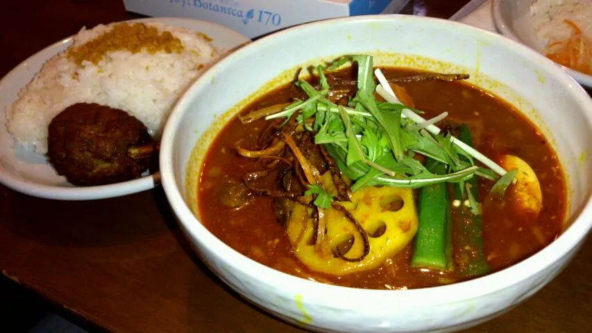 「gopのアナグラ」チキンと野菜のスープカレー|タケさん