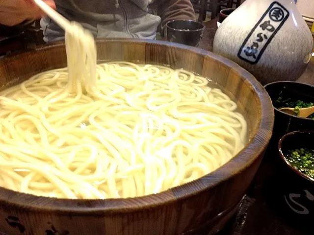 屋島本家わら家 讃岐たらいうどん|oshowyouさん