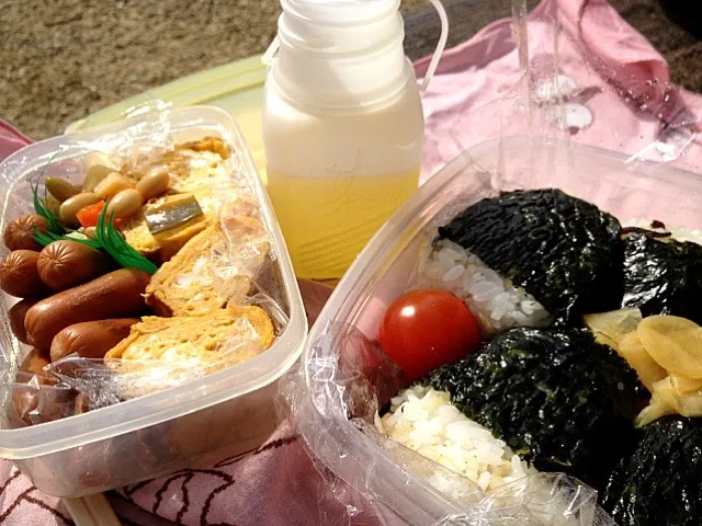 サイクリング飯|HalfPintさん