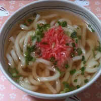 うどん|桃子さん