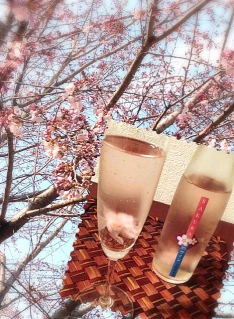 Cherry blossom wine🌸桜ワイン|🌈Ami🍻さん