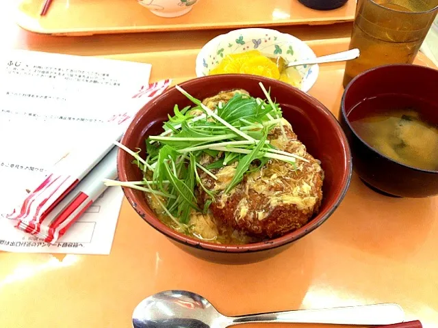 あんかけカツ丼！|pikaruさん