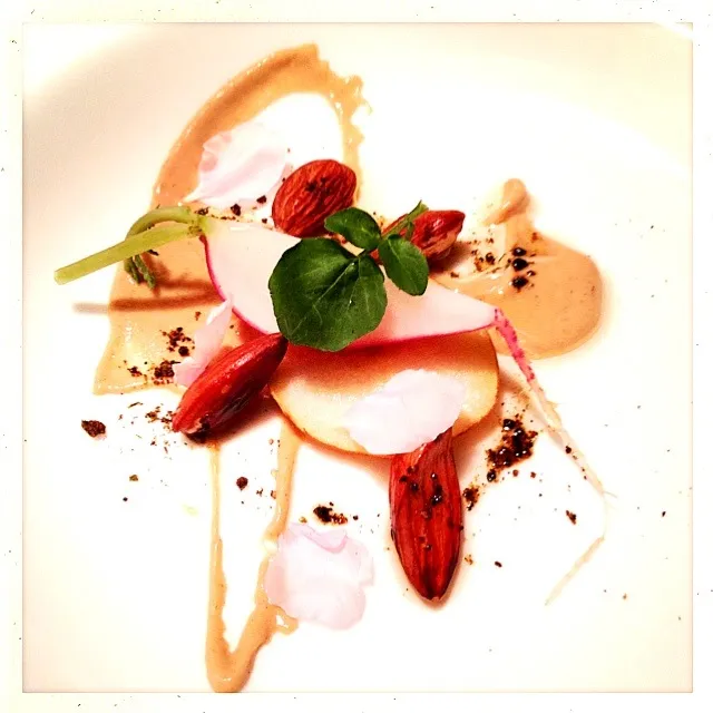 JAPANESE PEAR. RADISH. ROASTED ALMOND. CRESS. DIJON. TOGORASHI. PEACH BLOSSOM|GREG ARNOLDさん