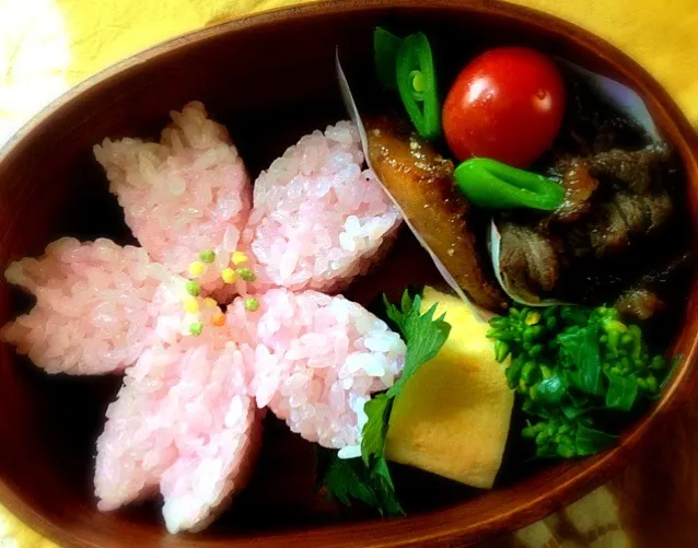 Snapdishの料理・レシピ写真:春のお弁当  #obentoart｜お花咲きはじめました！！〜お皿の上のお花図鑑♪季節を彩る〜お花寿司♪冬から春編