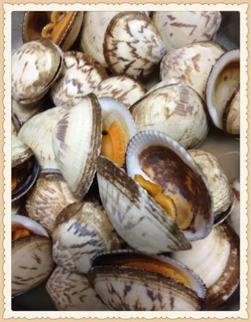 Steamed clam with ginger|piggybistroさん