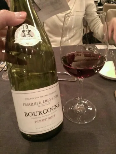 Bourgogne Pinot Noir 2010|ふぃるまめんとさん