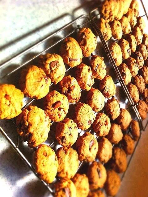 Snapdishの料理写真:Almond and Choco-chip cookies.|sumida chihoさん