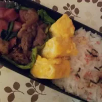 Snapdishの料理写真:旦那さんのお弁当|鹿川忍さん