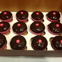 Chocolate ganache cupcakes|Jenn Dezさん