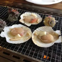 Snapdishの料理写真:バターホタテとさざえ|藤村さん