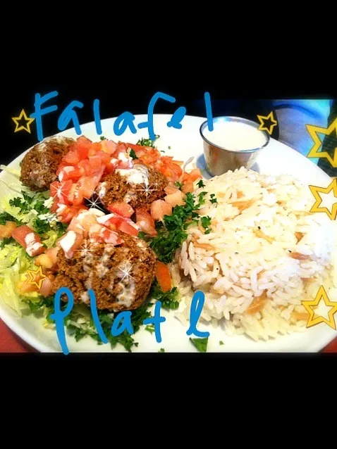 Falafel Plate w/ tahini sauce|Juliee ~ ジュリーさん