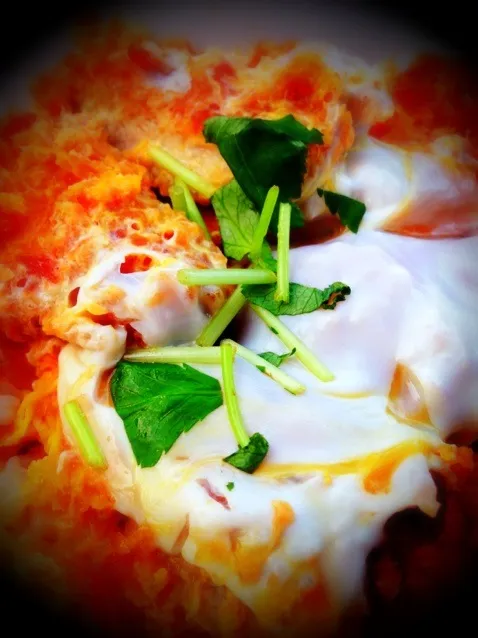 かつ丼♪|ユキティモさん