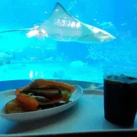 三枚肉のピタサンド in 美ら海水族館|てるをさん