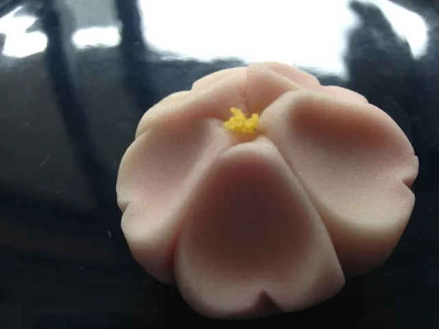 Cherry blossom shaped Japanese sweet "nerikiri"|Masayo Nさん