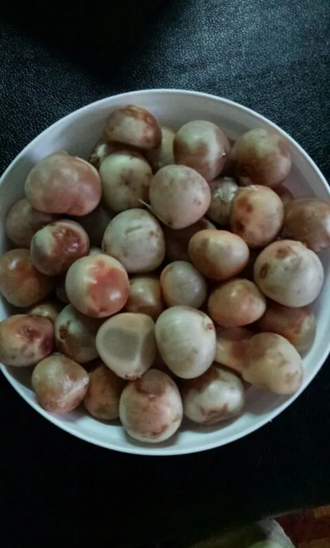 this is one local fruit in Sarawak..extremely sour!|mayleeya ahoyさん