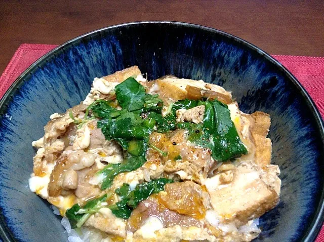 親子丼 厚揚げ入り|さかもとさん