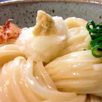 冷しぶっかけうどん