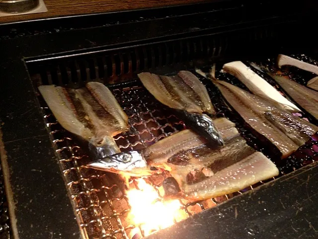 Pacific saury|mさん