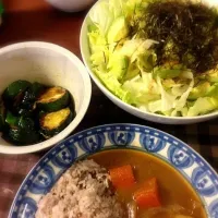 カレーと韓国風サラダとズッキーニのオリーブオイルで焼いたやつ|はちさん