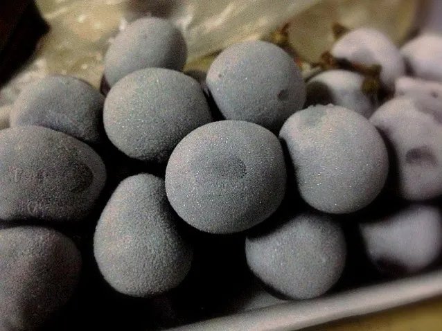 Frozen grapes|joanne tanさん