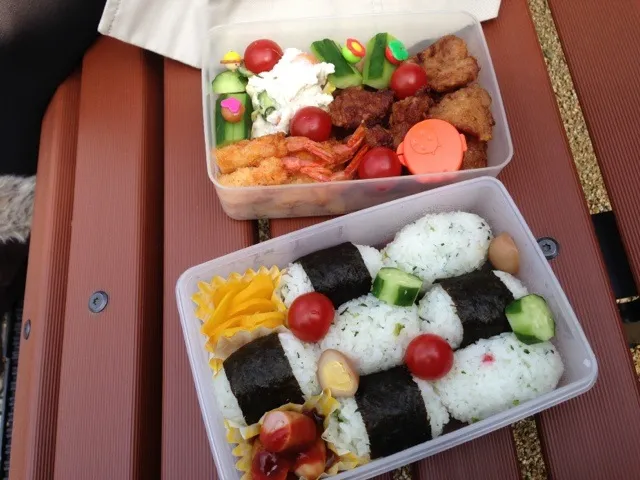 お弁当|508さん