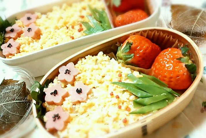 たまごそぼろのお弁当|Akoさん