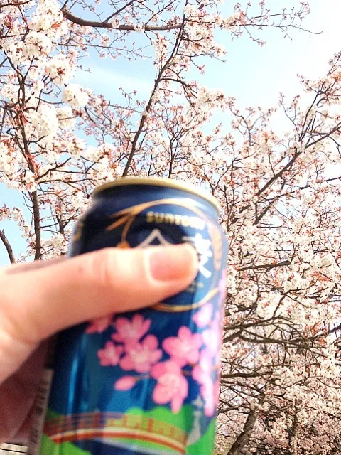 花見酒((*´∀｀*))|ショウコさん