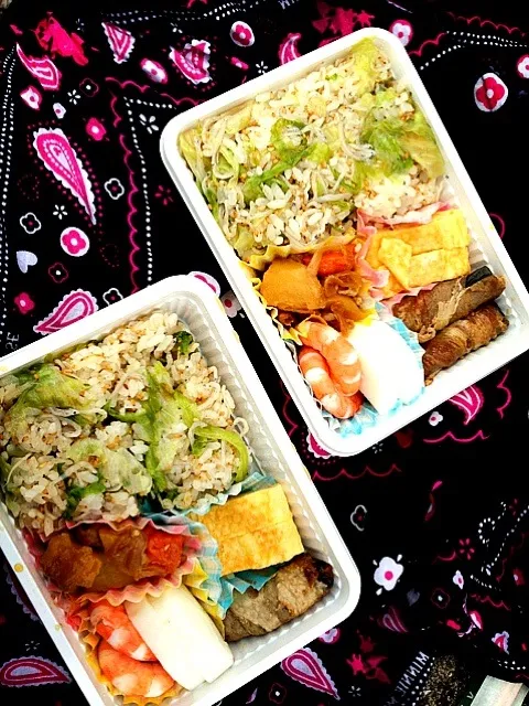 Snapdishの料理写真:じゃこレタス炒飯弁当♡|ちぃさん