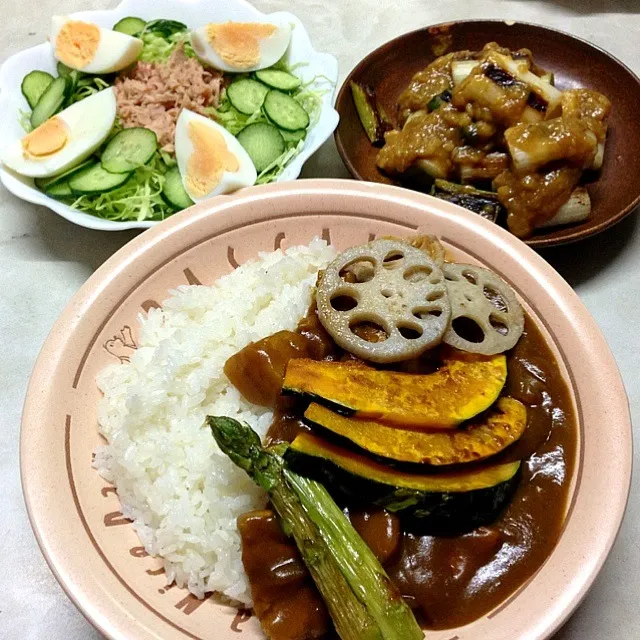 野菜カレー|さやか丸さん