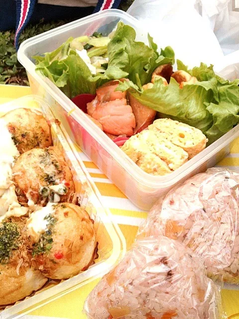 お花見弁当|佐渡汐理さん