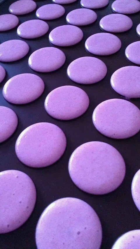 Raspberry Macarons!!! Half way...|Fal Gonzalezさん