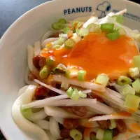 Snapdishの料理写真:納豆おうどん〜ネギ•卵黄のせ〜