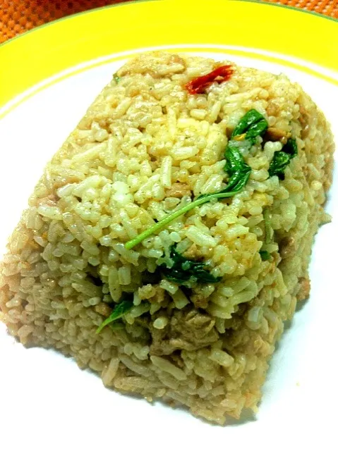 Rice and Mince Pork  wz chilli n basil leaves ช้าวกะเพราคลุก|Toa Nakaratさん