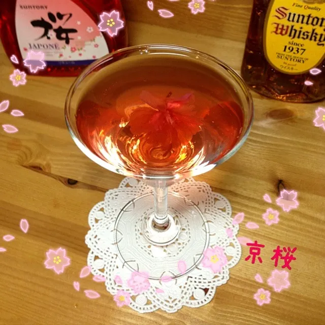 🌸桜カクテル🌸京桜🌸飲みやすくておいしいカクテル💕🍸|カオルン♪さん