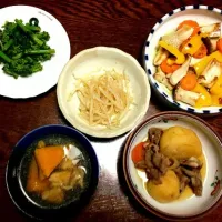 肉じゃか・もやしのナムル・カボチャと鶏肉のスープ・菜の花のおひたし・焼き野菜のマリネ|risaccoさん