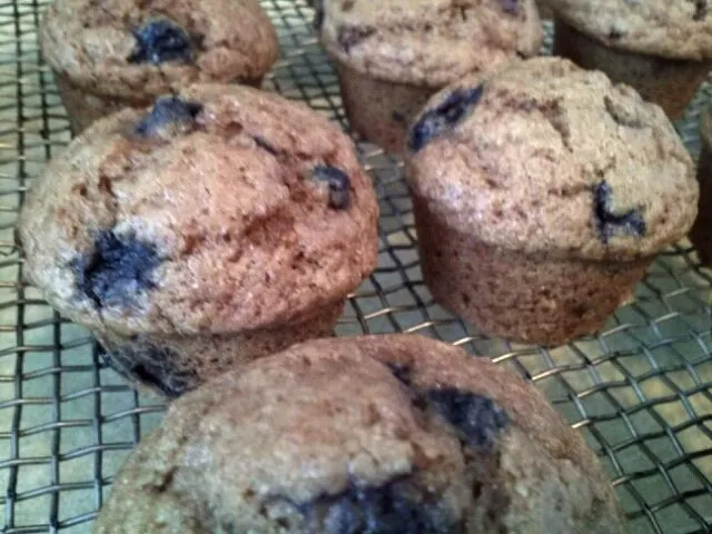 Whole wheat blueberry muffins|Dan Zarinさん