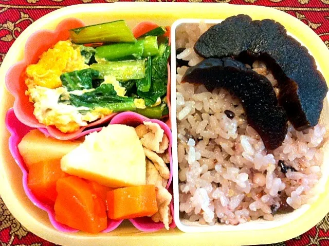 Snapdishの料理写真:豚肉とじゃがいもの煮物と小松菜の玉子とじ弁当|もえさん