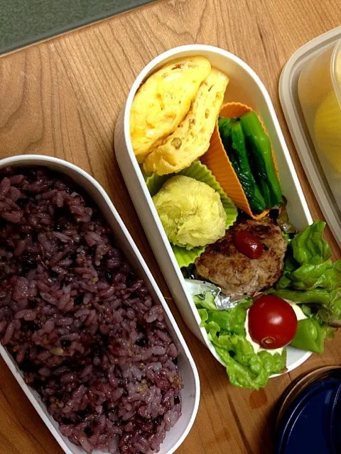 Snapdishの料理写真:ハンバーグ弁当|むっちーさん