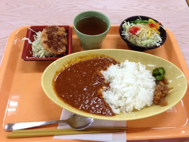 野菜カレー、チキンカツ、サラダ|すかラインさん