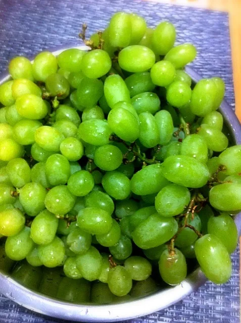 Uvas Verde sem Semente Adorooo !!!!|lucia inoueさん