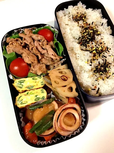 イカじゃが弁当|ヨッチャンさん