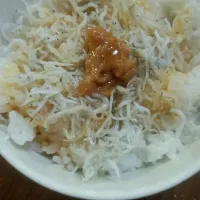 Snapdishの料理写真:しらす丼|あおいさん