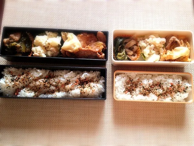 Snapdishの料理写真:本日のお弁当|satchさん